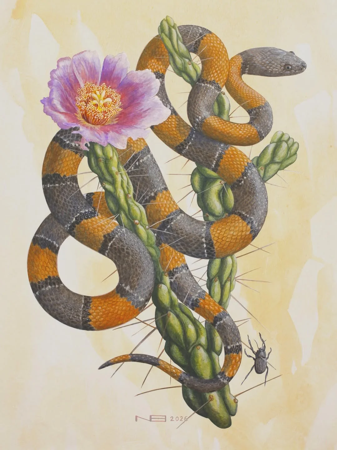 Cholla (2026) - Art Print by Noah Bounds