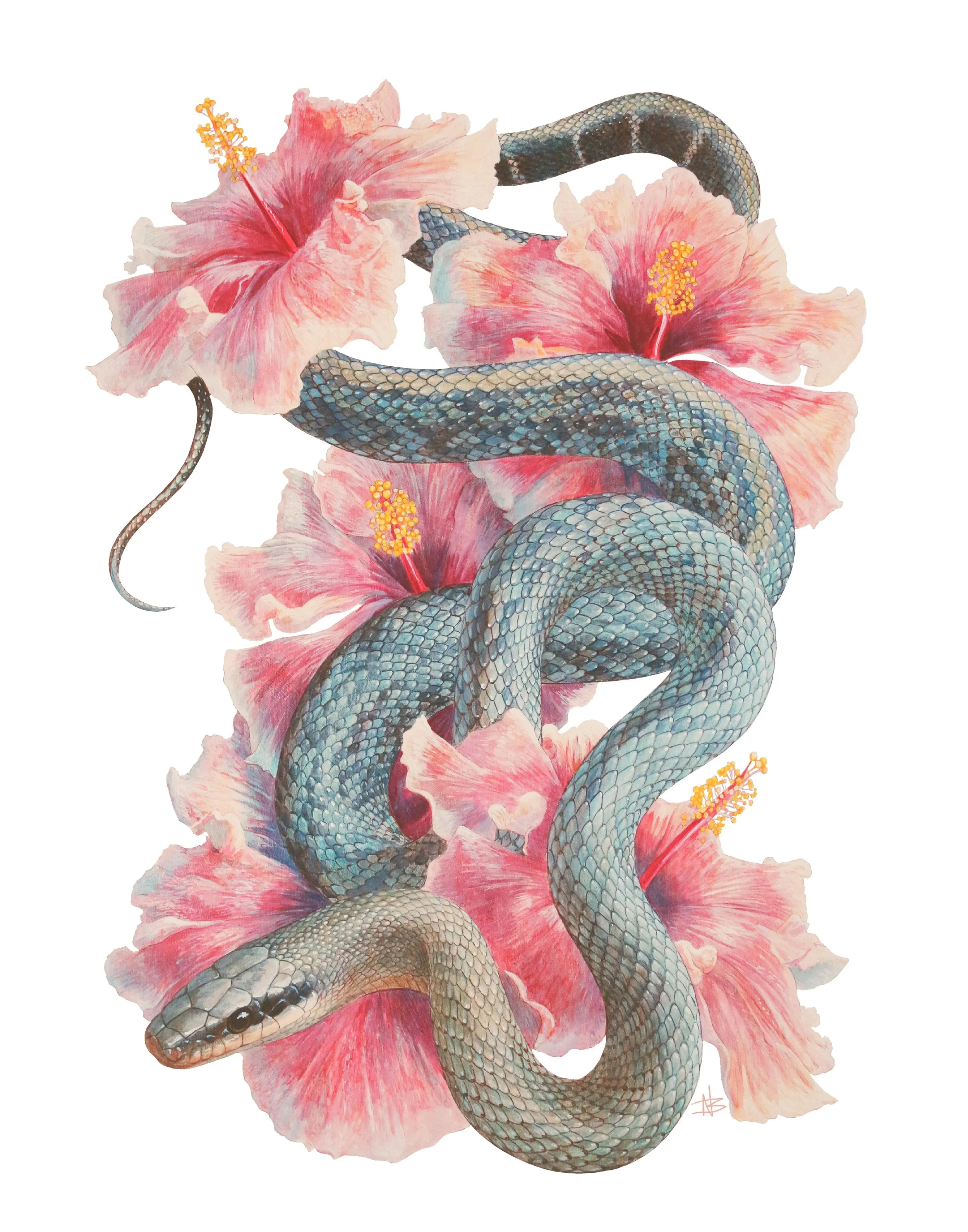 "Hibiscus Blues" - Art Print by Noah Bounds