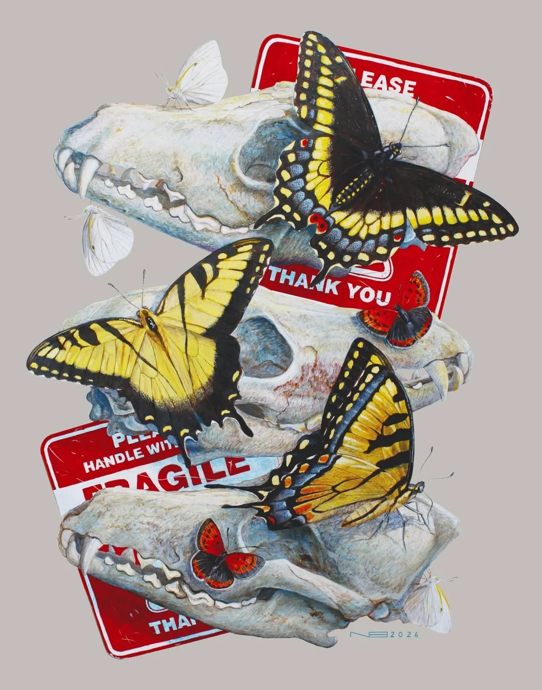 Fragile, Please (20260 - Art Print By Noah Bounds