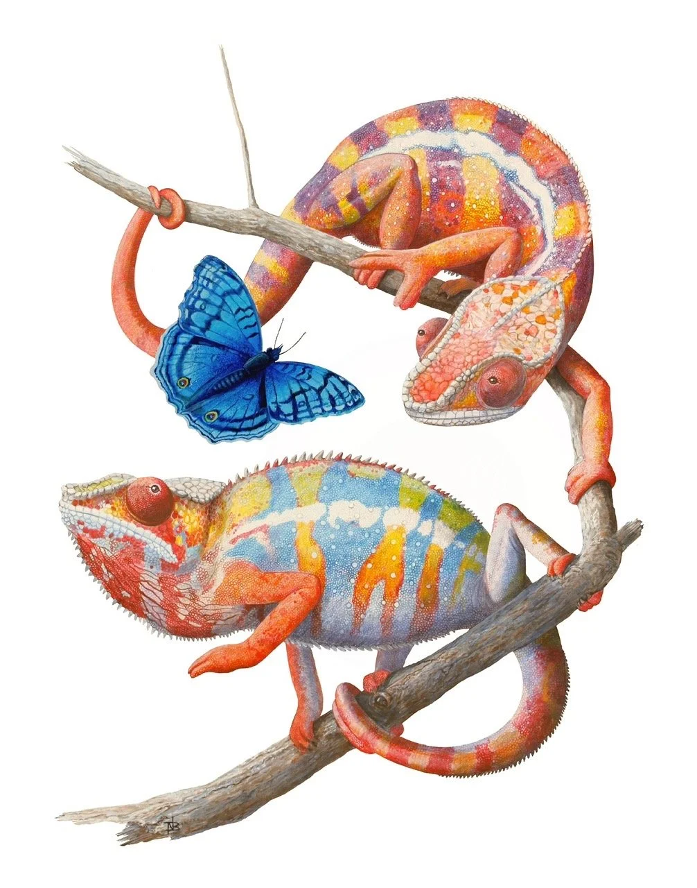 "Himbos in Hot Pursuit” -  Art Print by Noah Bounds