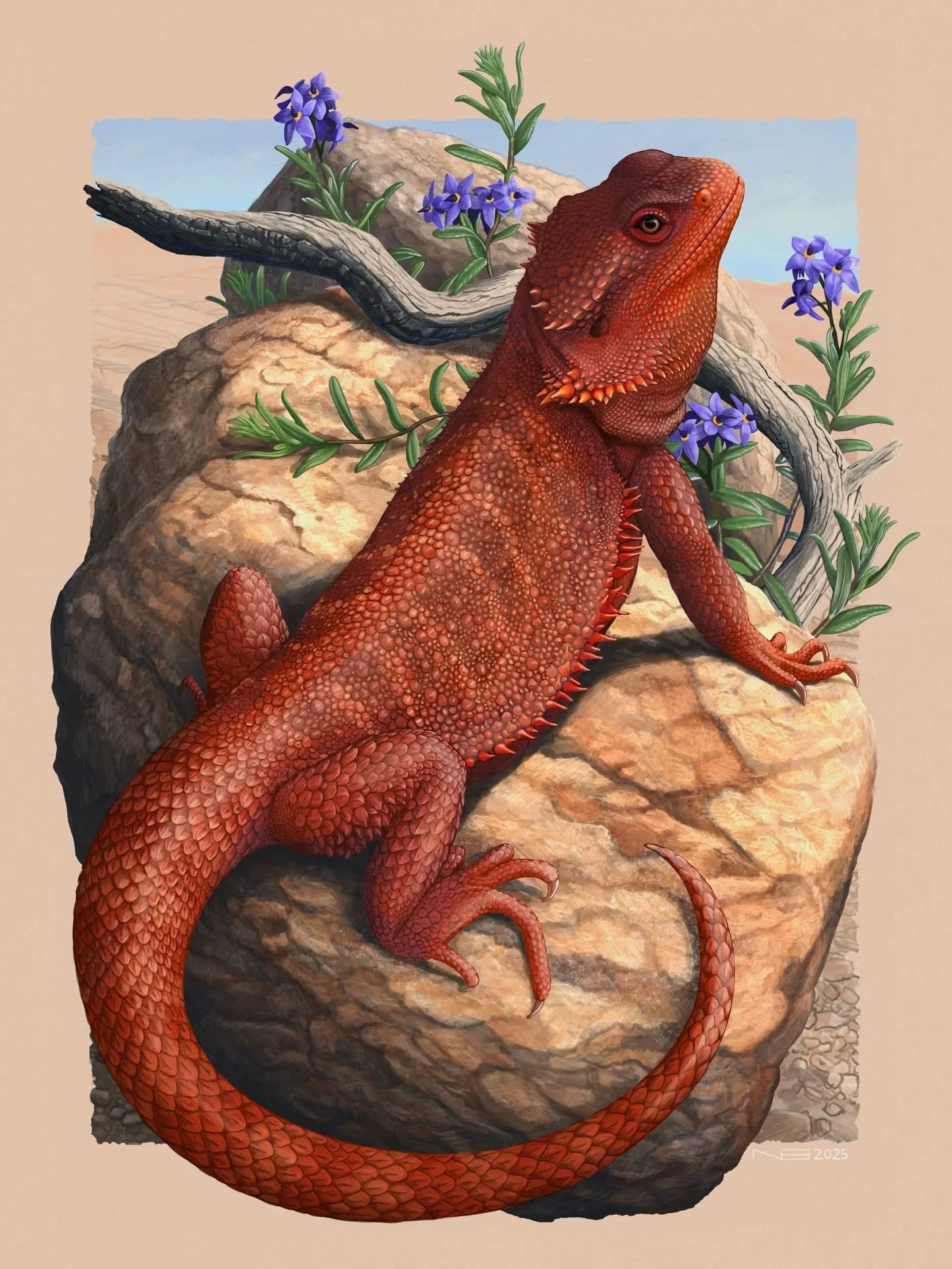 Granite Throne (2025) - Illustrated in Procreate 