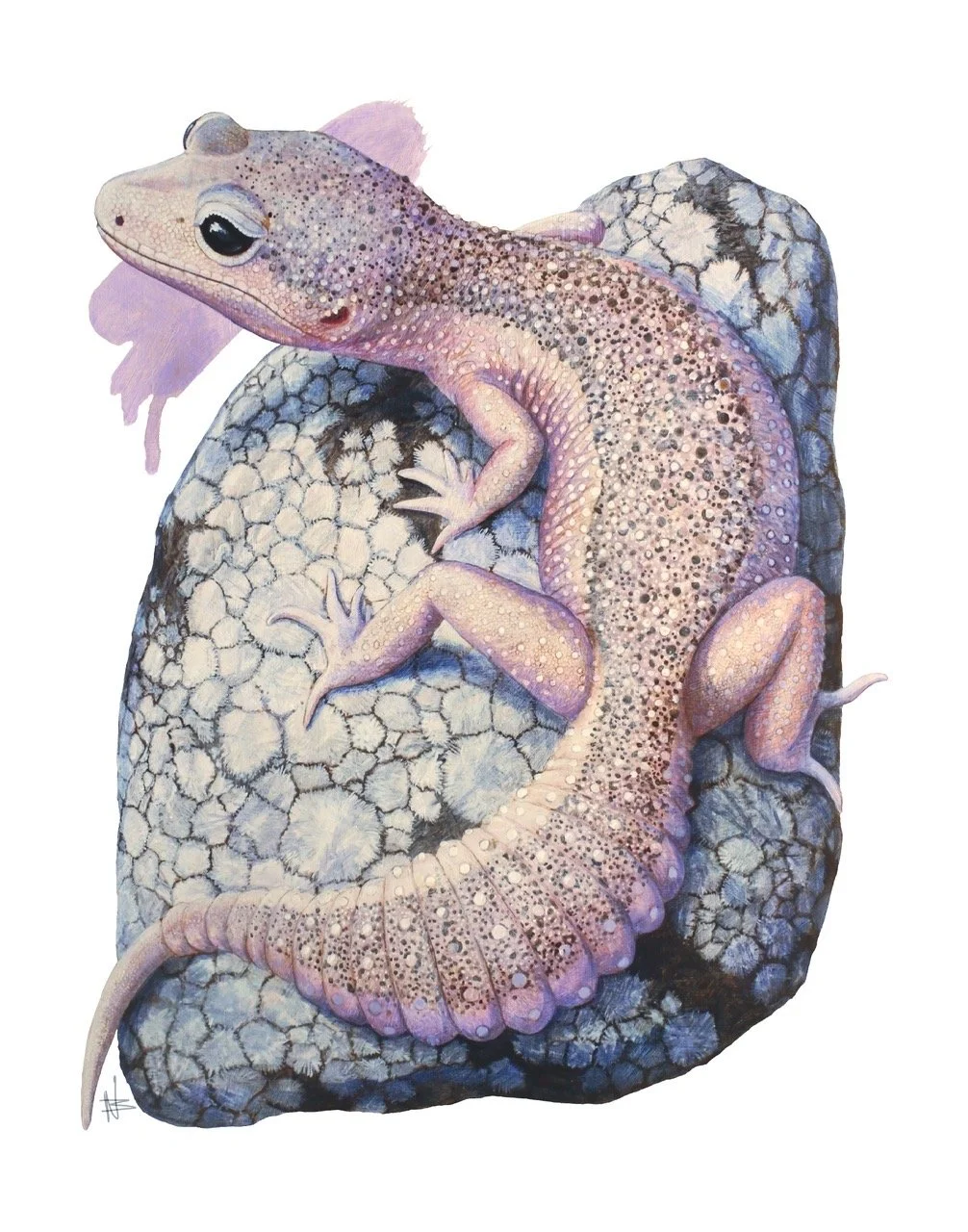 “Enzo” -  Art Print by Noah Bounds