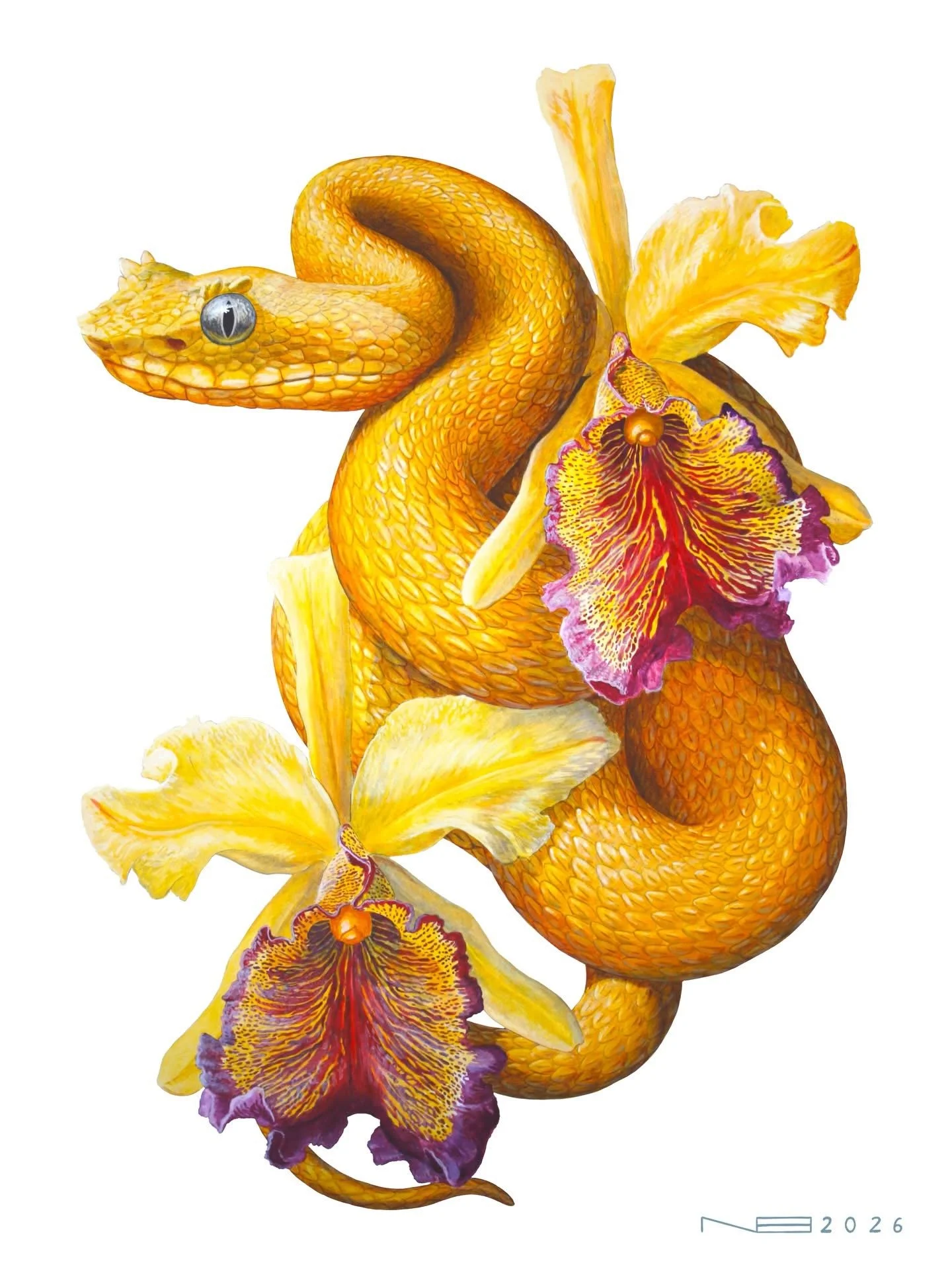 The Golden One (2026) - 18x24” - Acrylic on Panel