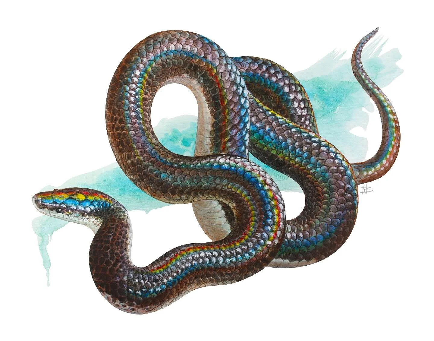 “Opal” - Print