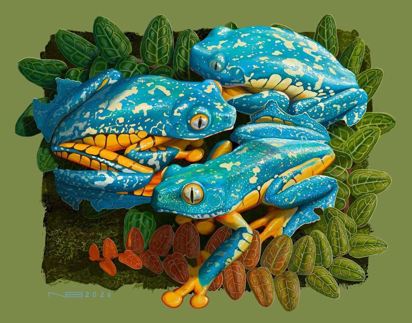 Fringe (2026) - llustrated in Procreate 