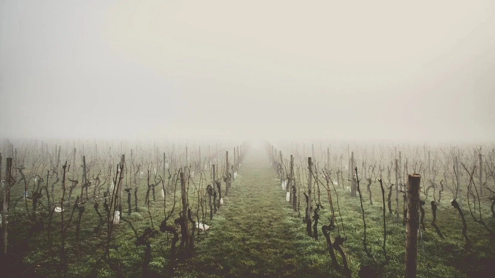 Winter: Practicing a Pause