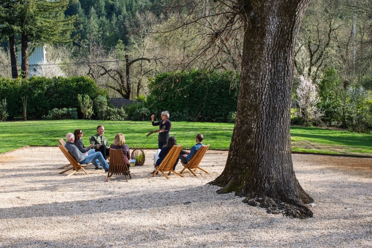 CITV Winter 7579.jpg