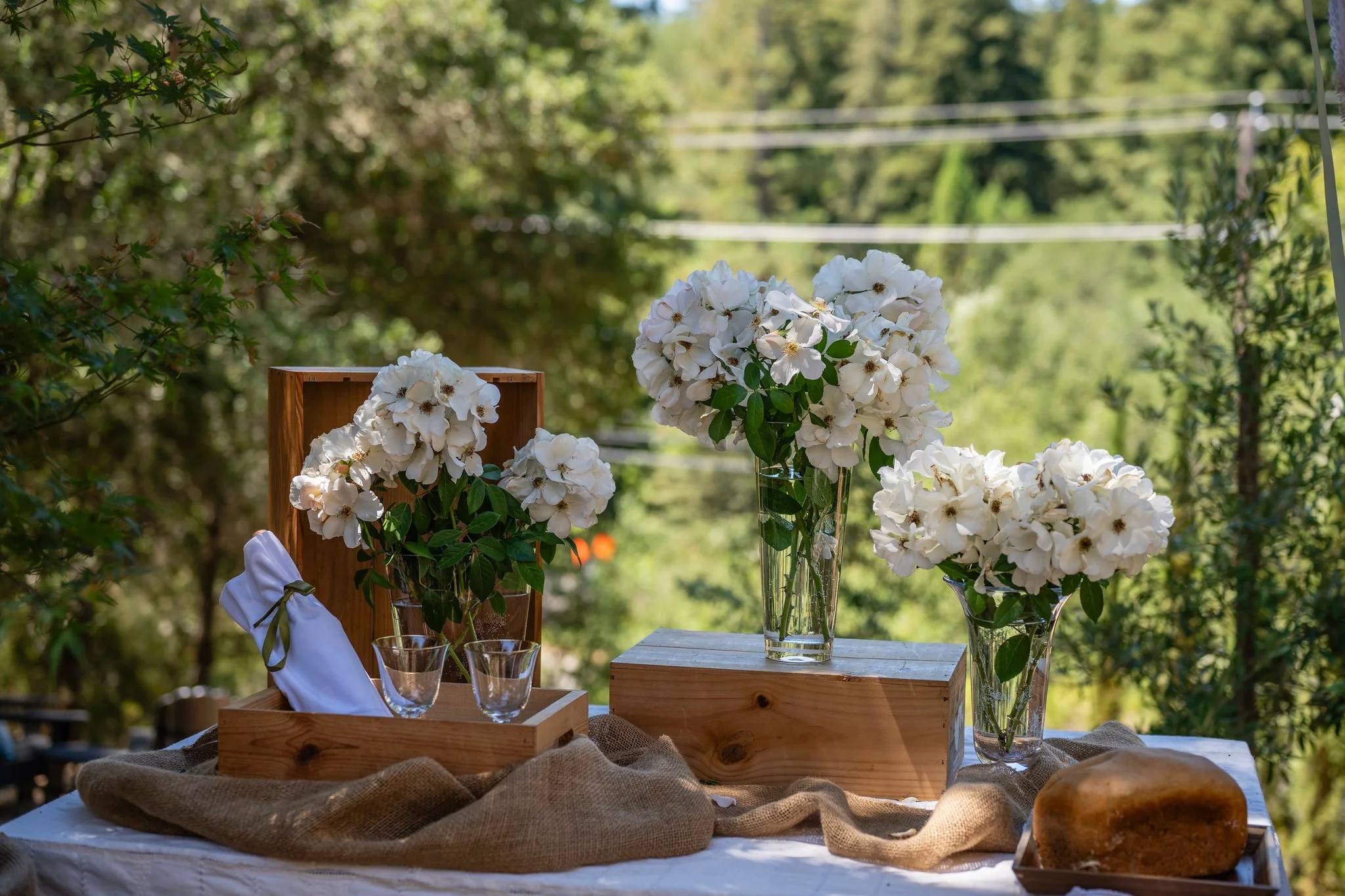 Jonathan+Advah.7.29.26-2450_(2048).jpg