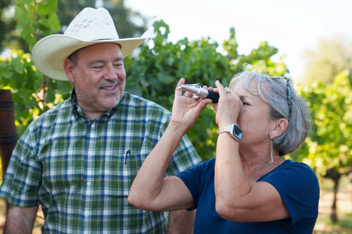 CITV Harvest 04169.jpg