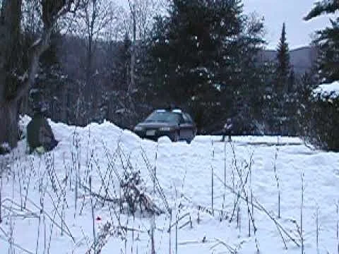 Mardi Haskell skijoring crashes  (click to view)