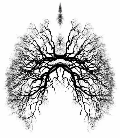 breathe_tree_lungs.jpg