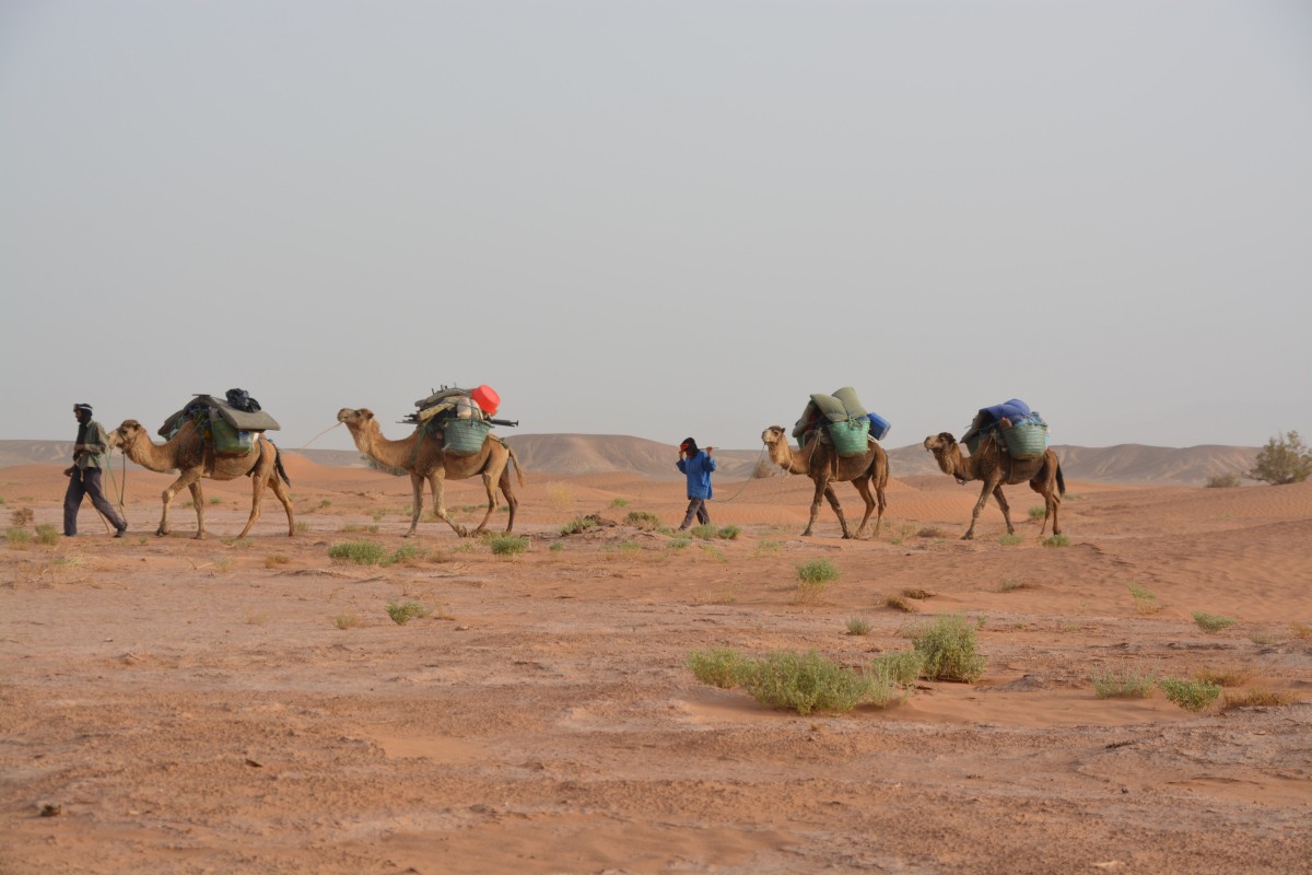 caravan_travel_desert_karg-1324082.jpg!d.jpeg