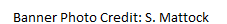 Wrod.png