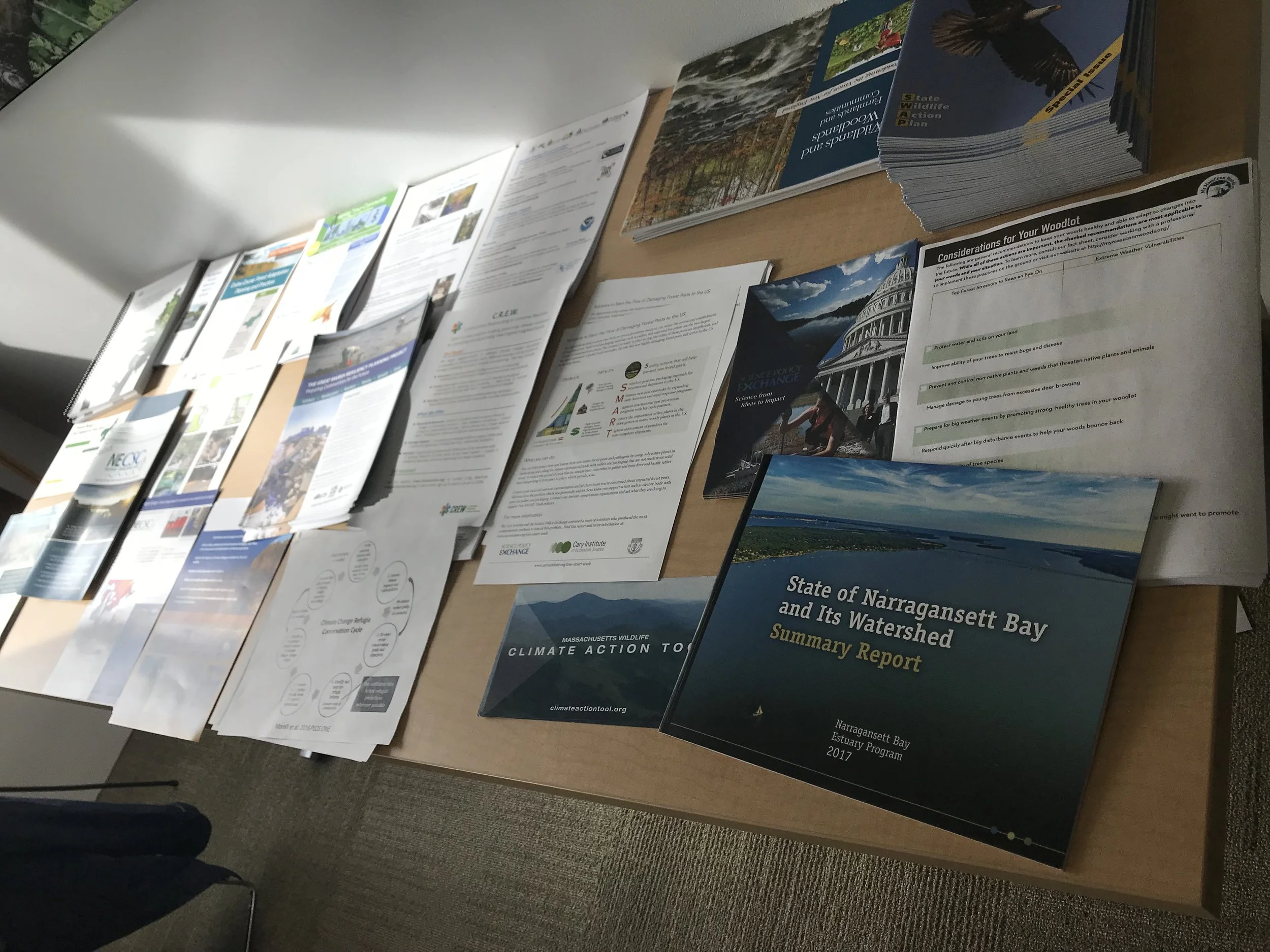 Copy of Resources Table IMG_3331.JPG