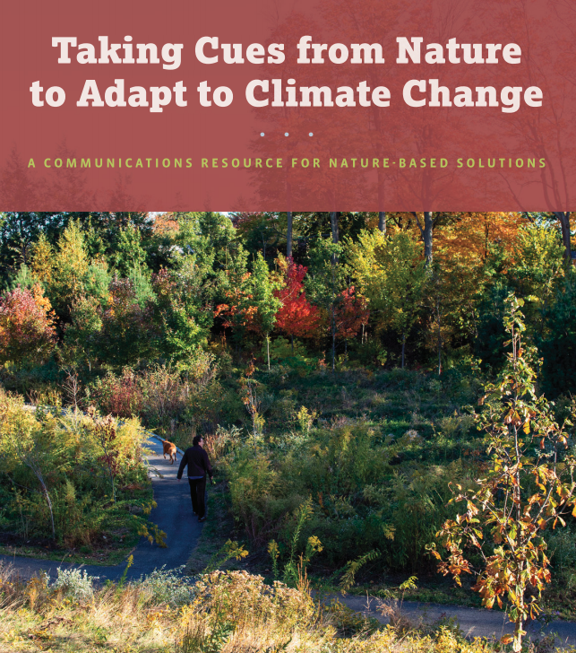 Learn about nature-based solutions