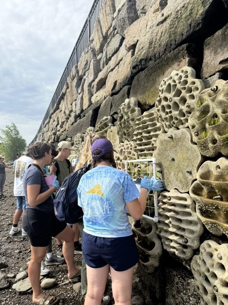 B97C4523-7193-4635-A8B0-9F38A49036F2_1_105_c (1).jpeg