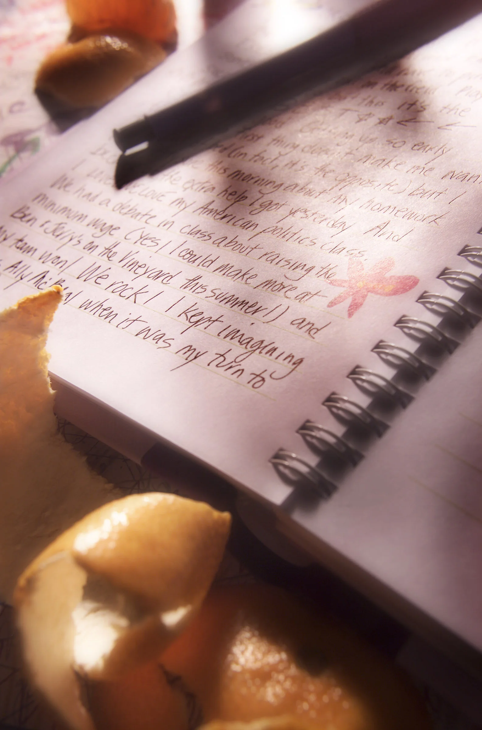 diary.jpg