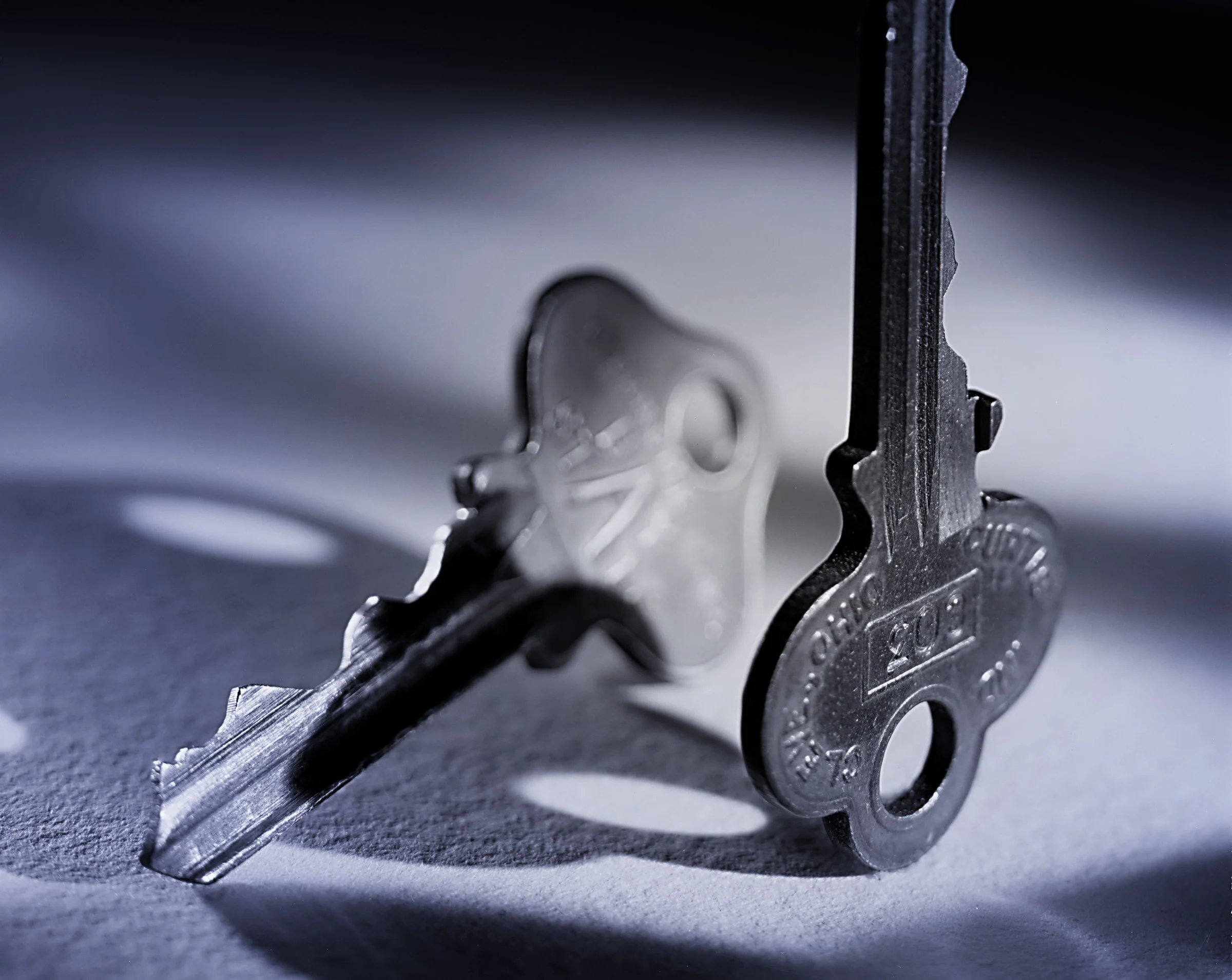 Portfolio d version-339.jpg