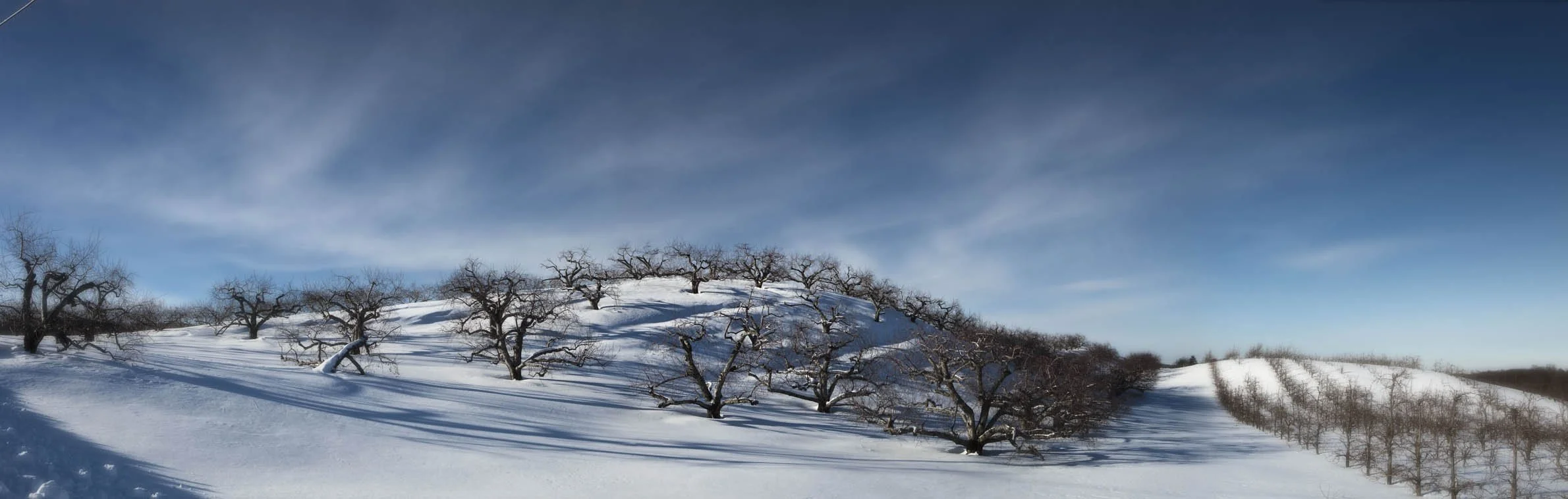 Lyman orchard winter -116 v2 f.jpg