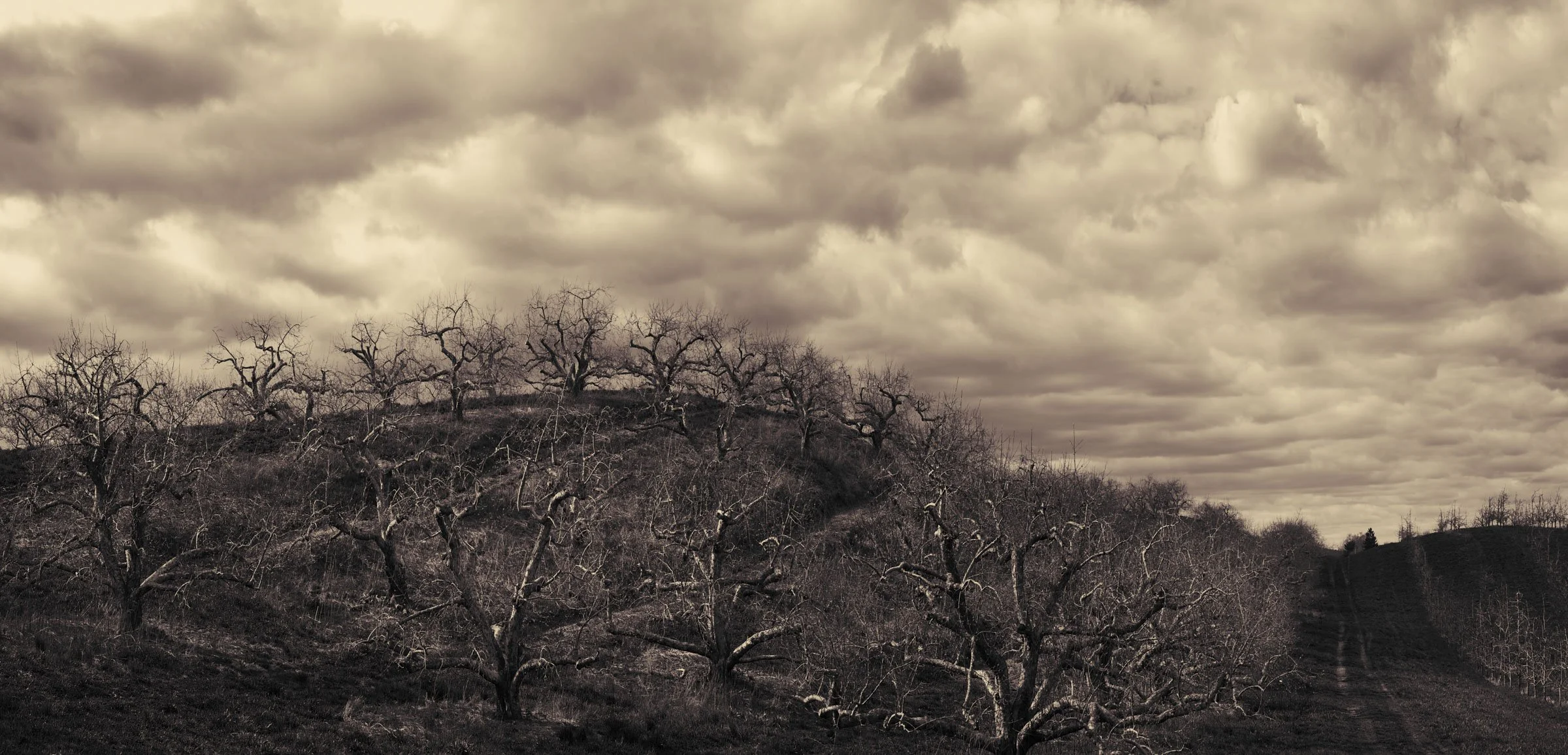 Lyman orchard autumn.jpg