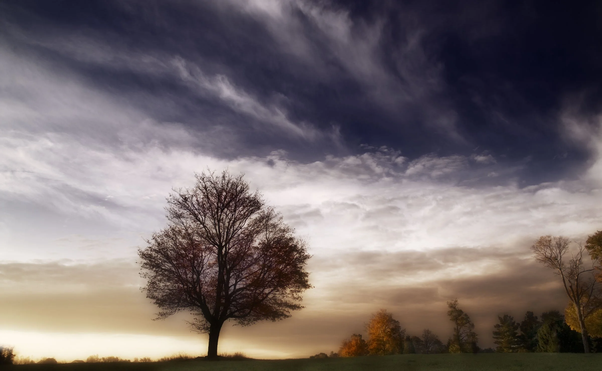 Portfolio d version-354.jpg