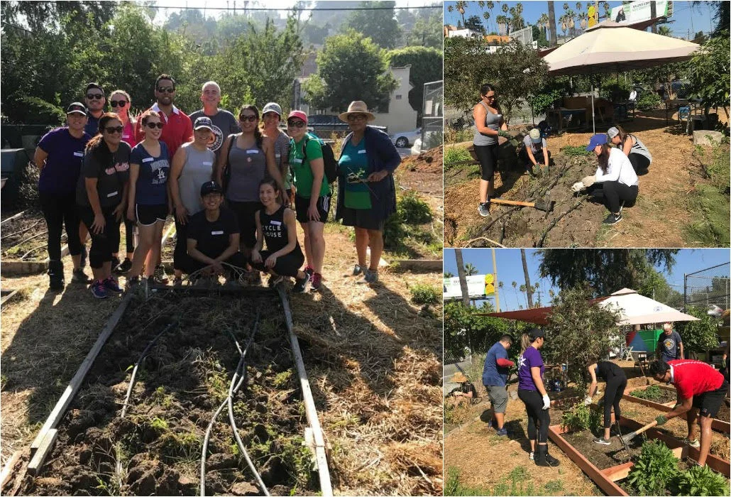 Enrich LA & PIHRA YP Planting the Seeds of Success | Micheltorena Elementary School and Community Garden | Silverlake, CA