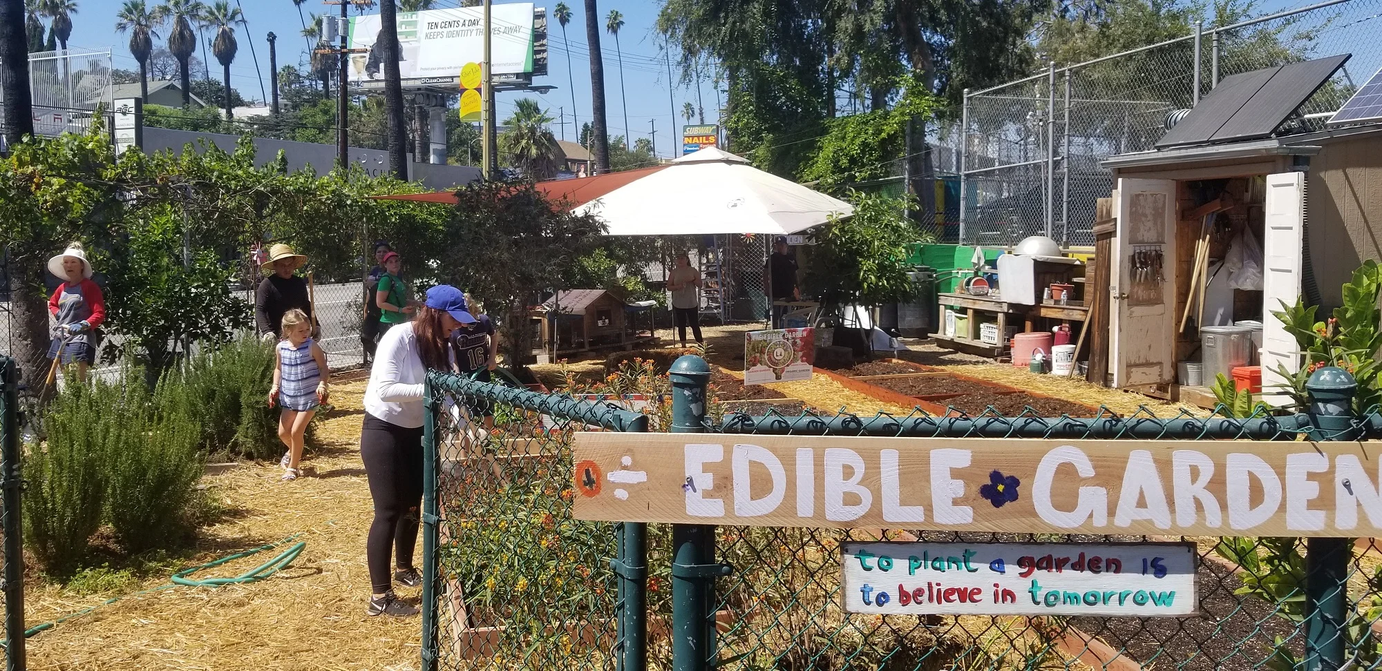 EnrichLA & PIHRA YP's Planting the Seeds of Success | Micheltorena Elementary School and Community Garden | Silverlake, CA