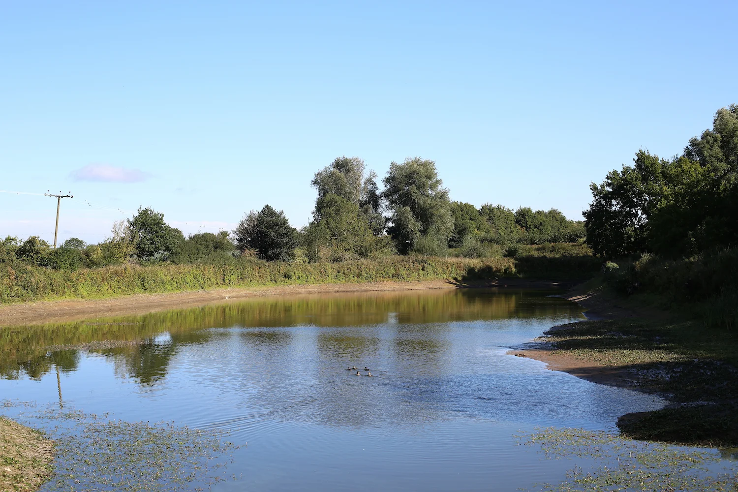 Wildlife at Thompson's Brook Farm.jpeg