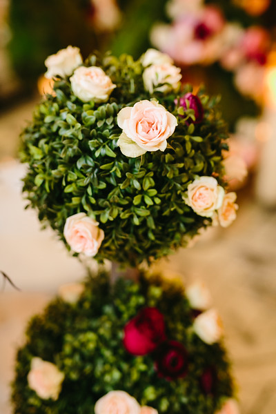 jennys30th-jodeedebesphotography-17-l.jpg