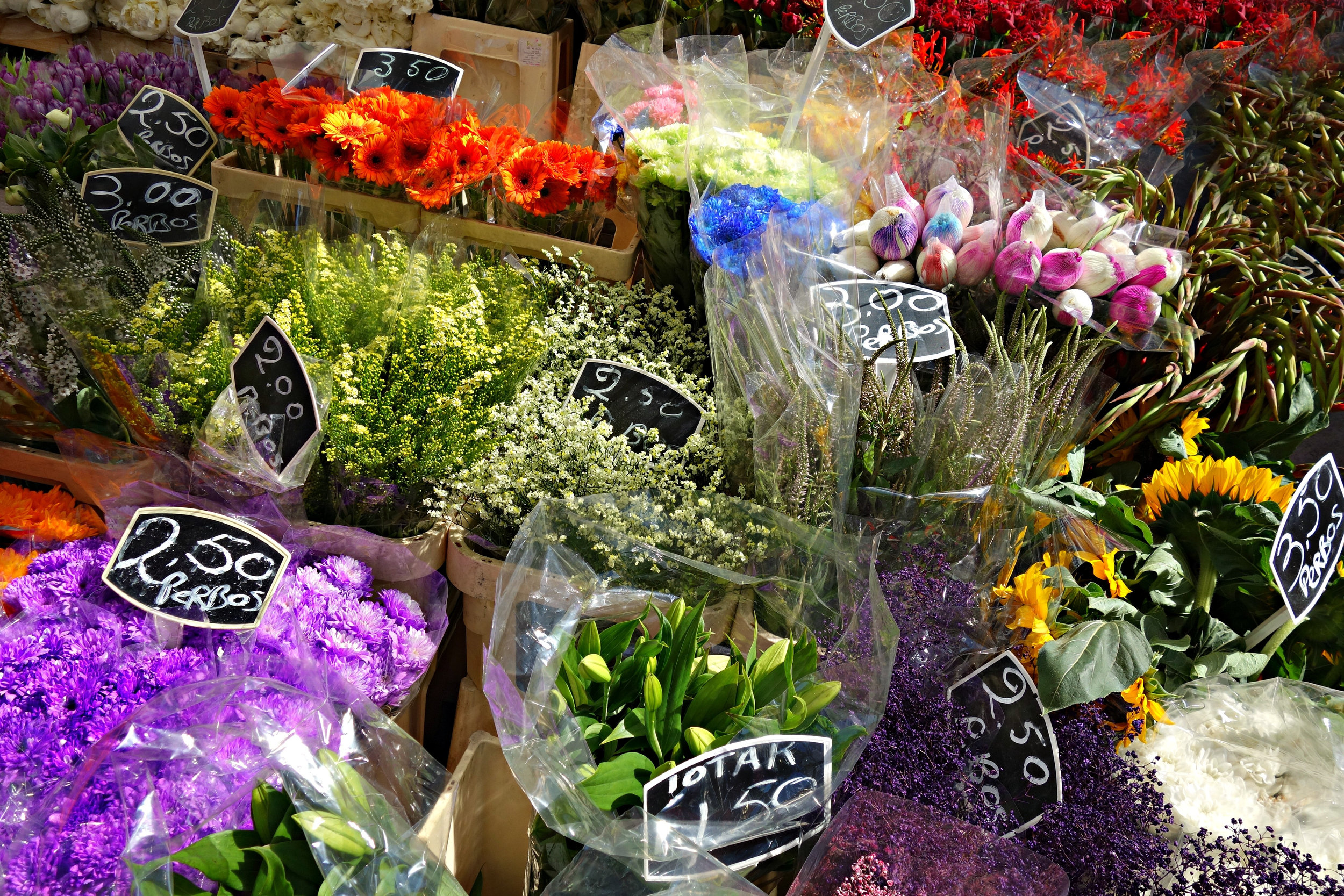 Canva - Flowers, Florist, Flower Stall, Bouquet, Bunch, Market.jpg