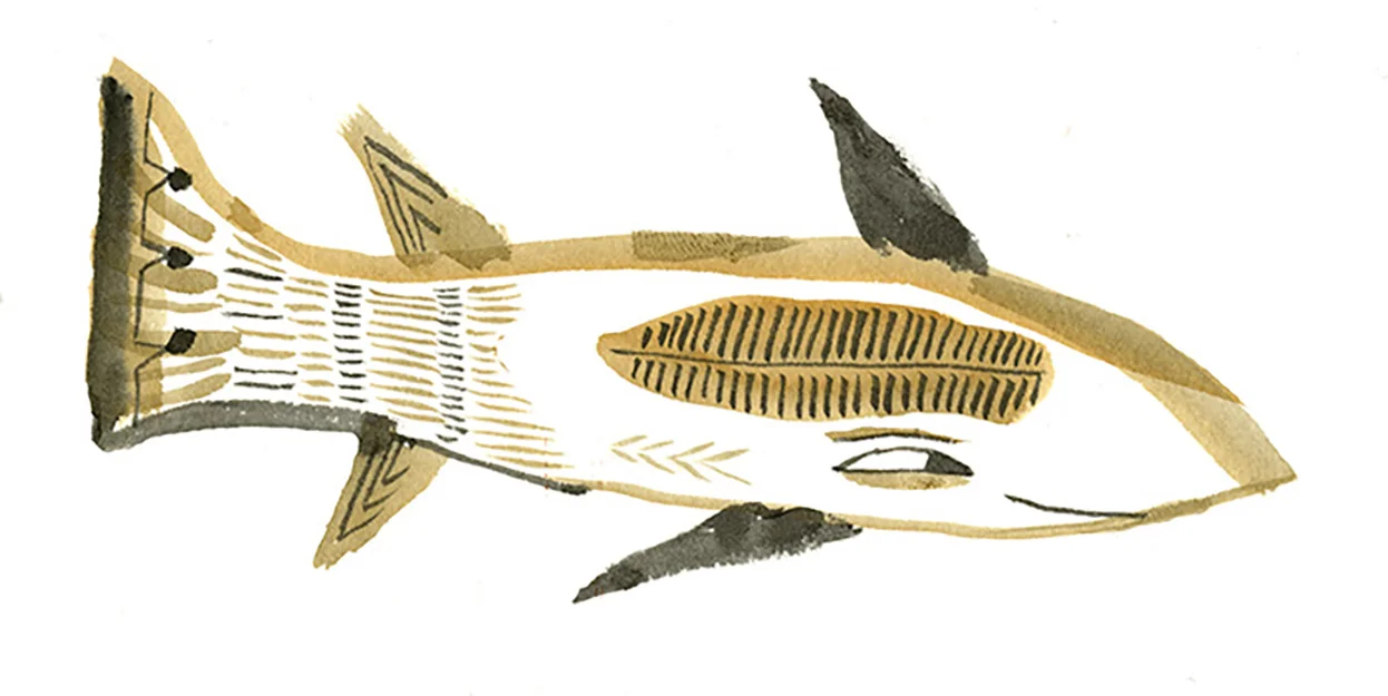 list-remora.jpg