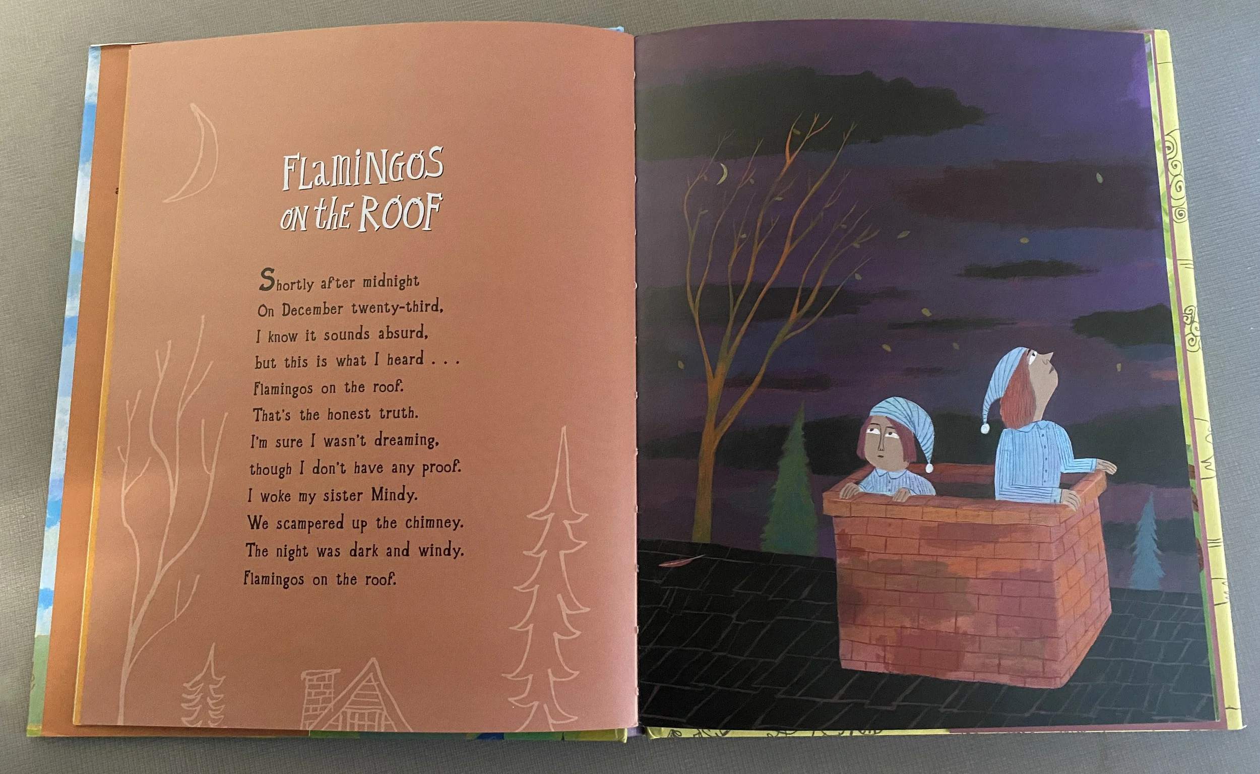 Flamingos-book-photo-Flamingos-3.jpg