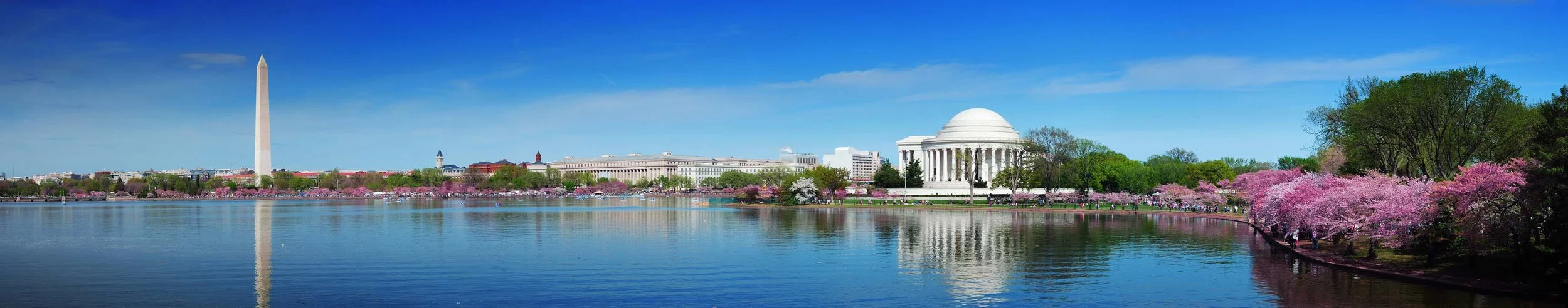 Panorama of Washington DC's Tidal Basin with Views of Washington Monument and Jefferson Memorial