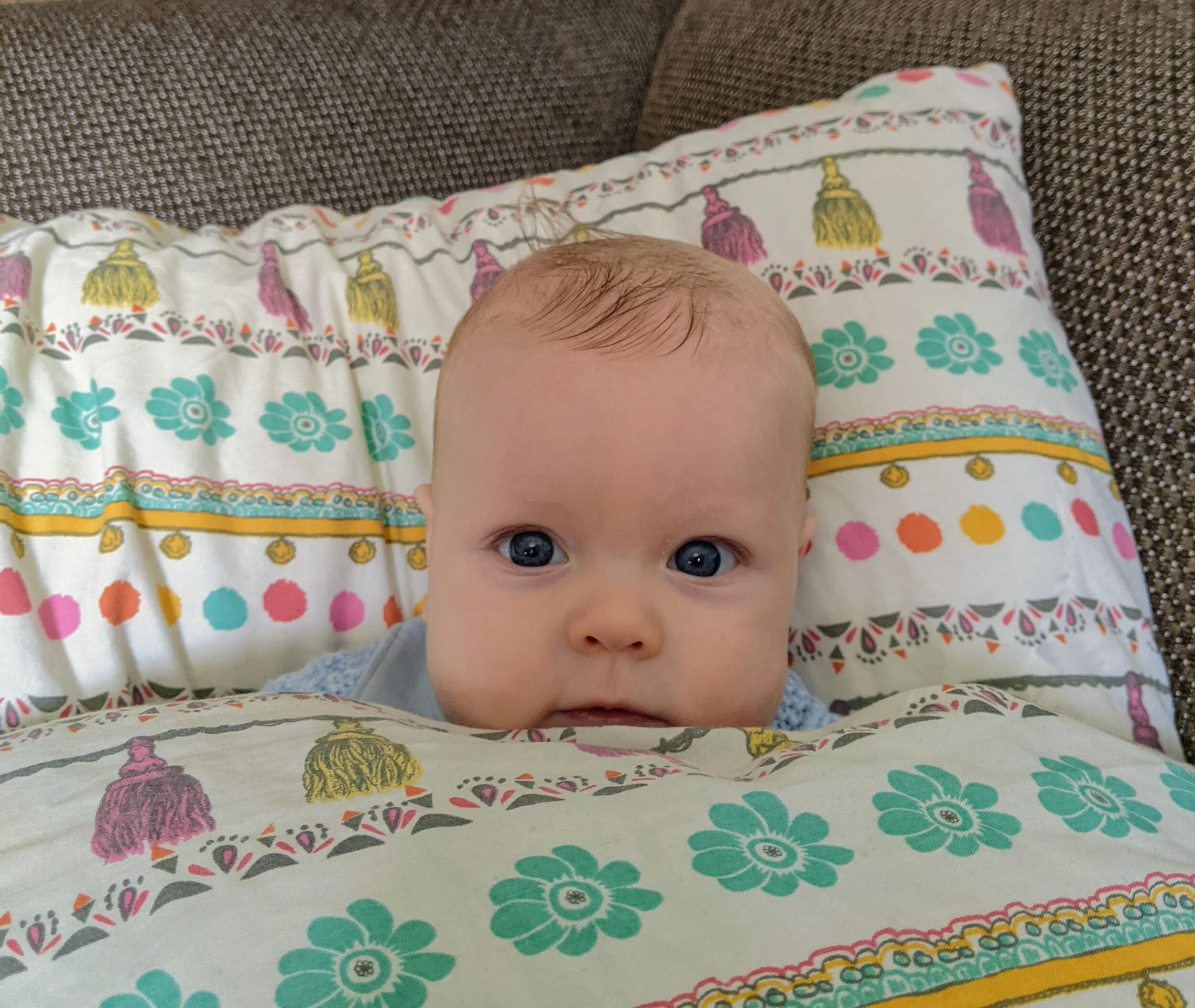Meet the newest member of the team - Adam