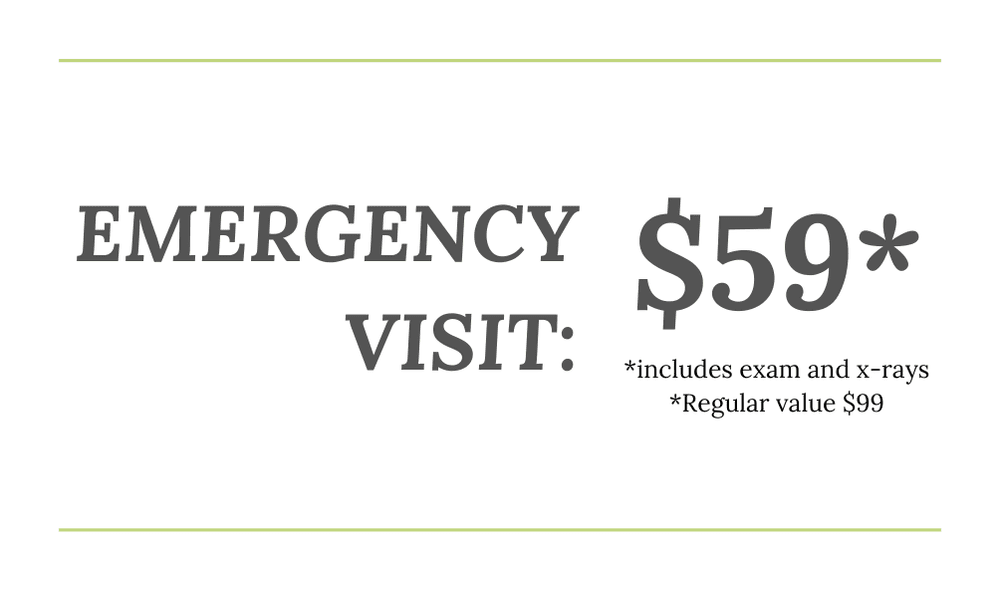 Oyster Creek Dentistry