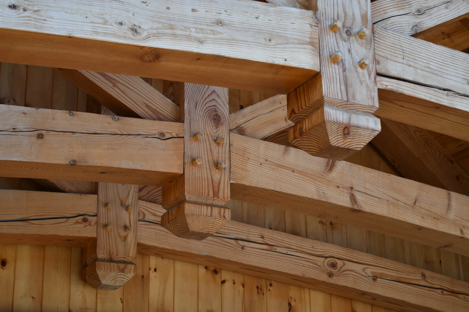 DSC_2165.JPG