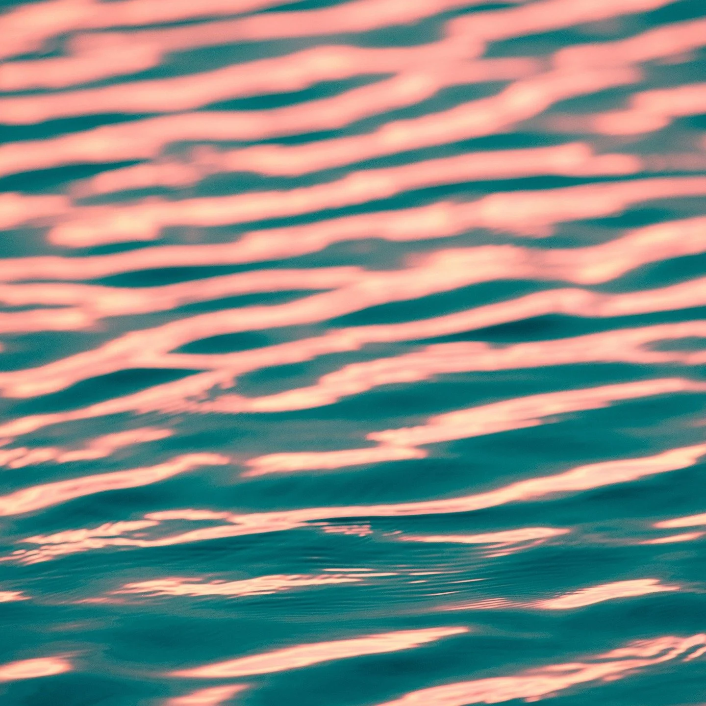 🌊 Dans chaque produit Algologie, il y a un fragment d&rsquo;oc&eacute;an, concentr&eacute; d&rsquo;actifs marins uniques.

Le laboratoire d&rsquo;algologie o&ugrave; se fabriquent les produits est en face de la Baie de Bretagne

Ces soins apportent 