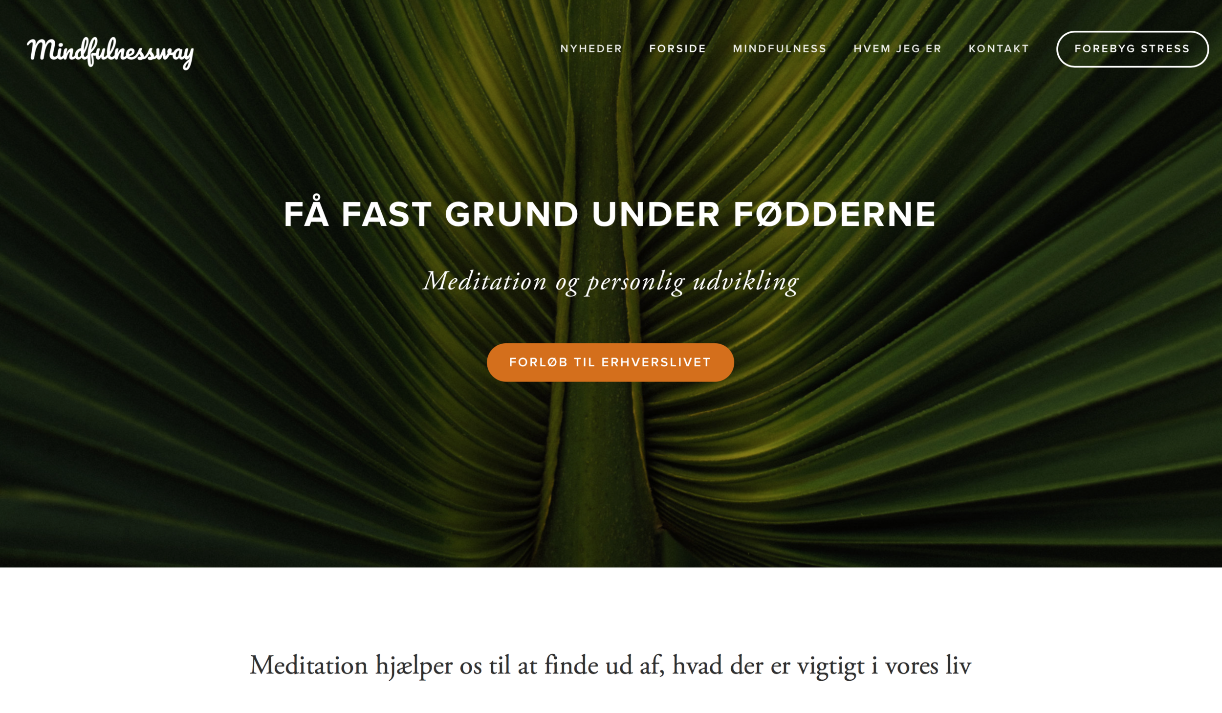 Skærmbillede 2018-01-15 kl. 06.42.07.png