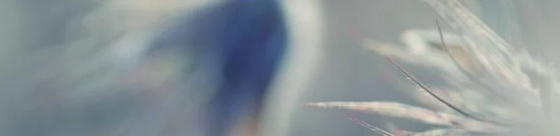 banner kari m på arbejdsplads.jpg