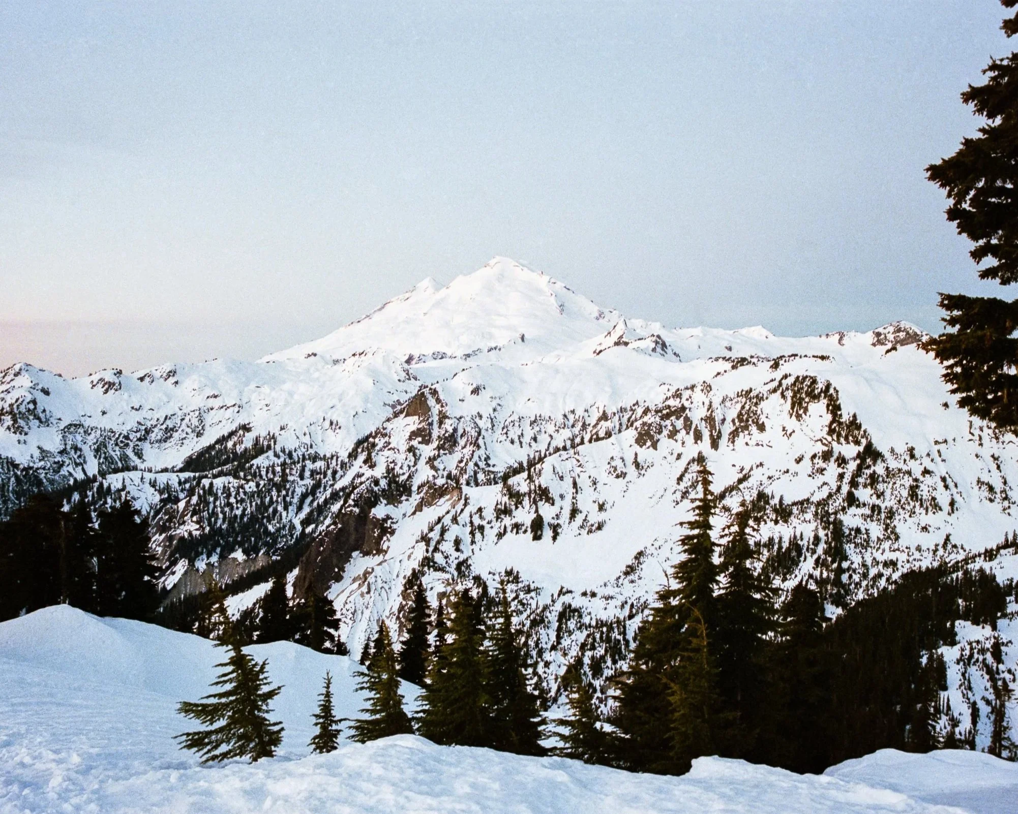 Mt Baker in Early Light 8x10 Print