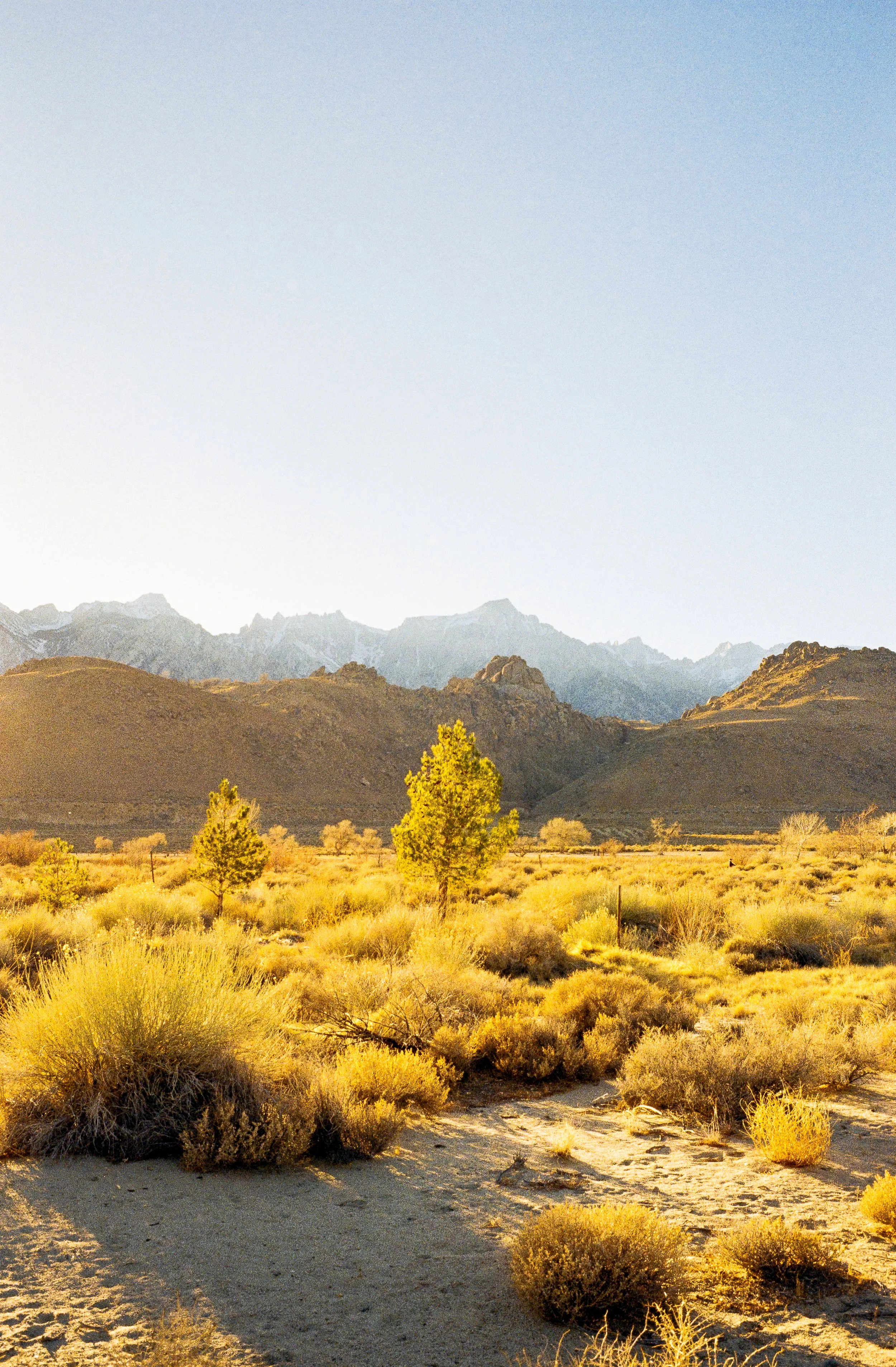 Along the Eastern Sierra 8x10 Print