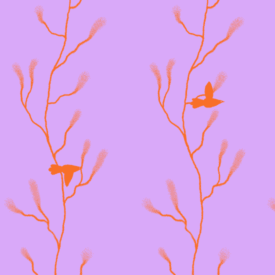 kornelia_csikos_sziakorni_passed_mint_fak_2018 (1).gif