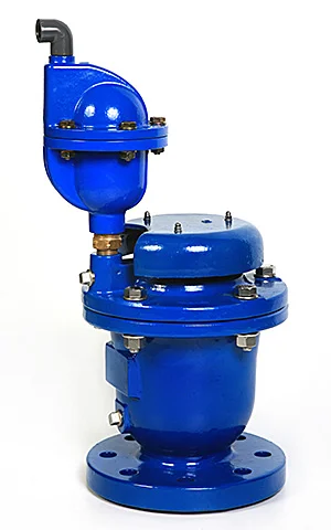 D-065 HF | Combination Air Valve