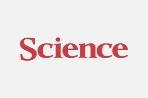 Debating a Testosterone “Sex Gap” | Science | May 21, 2015