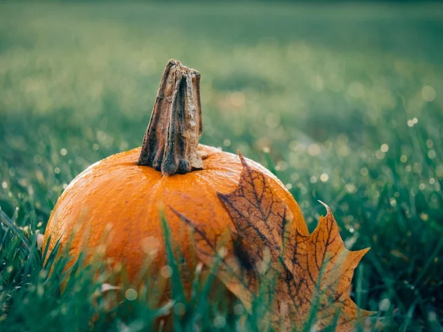 Just for Fun: 5 Fun Halloween Ideas for Your Yard