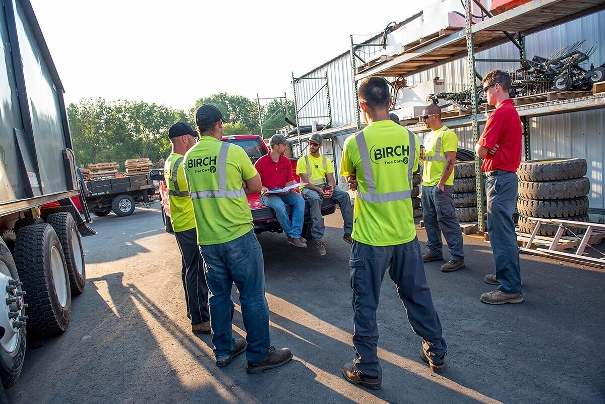 The Birch Tree Care team morning briefing to treat Dutch Elm Disease - Birch Tree Care