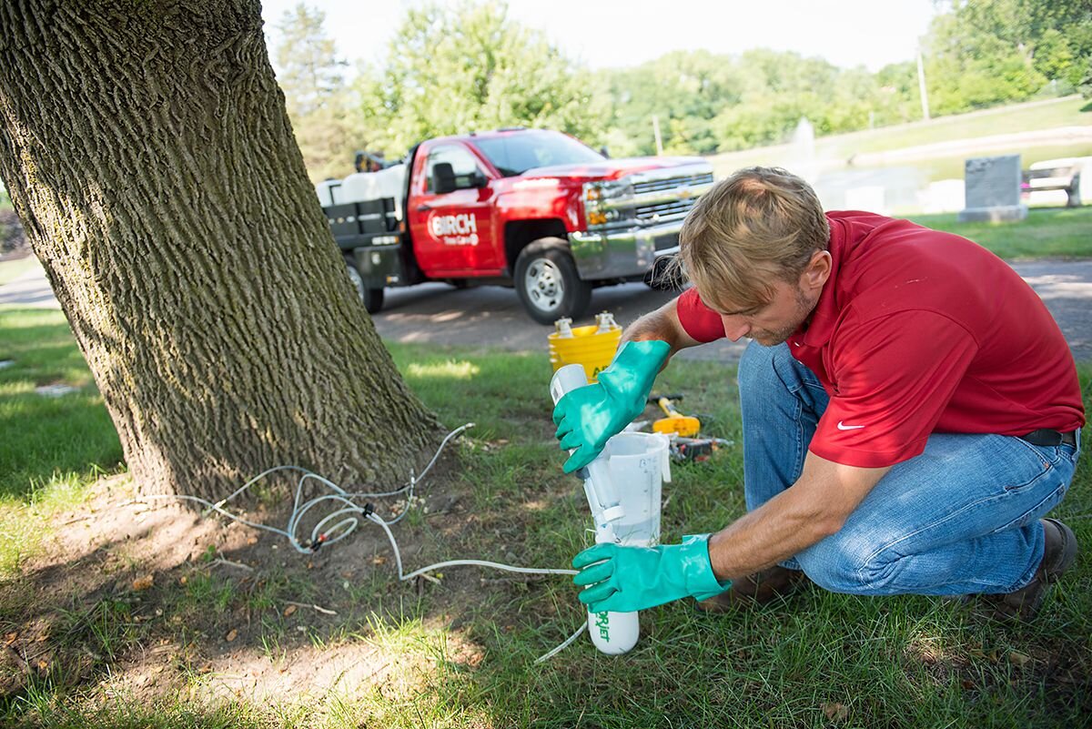 An ISA certified arborist mixing fungicide to treat apple scab - Birch Tree Care (Copy)