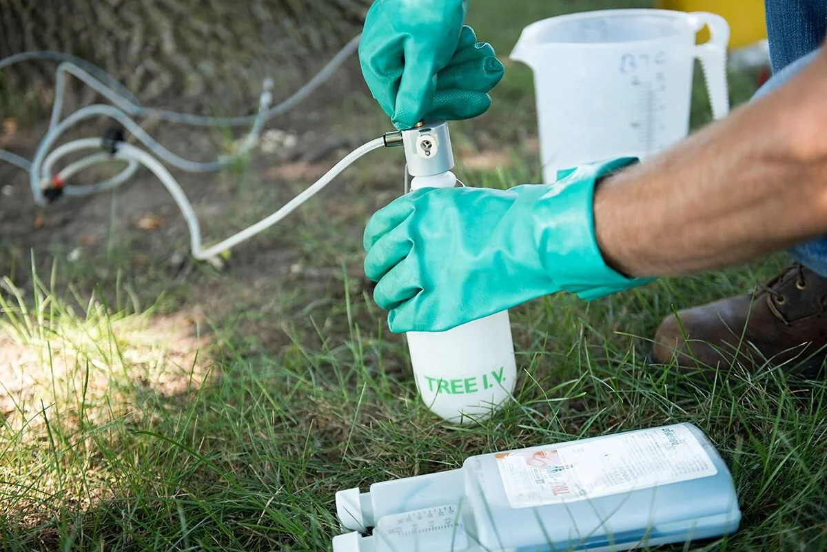 An employee using fungicide to treat apple scab - Birch Tree Care (Copy)