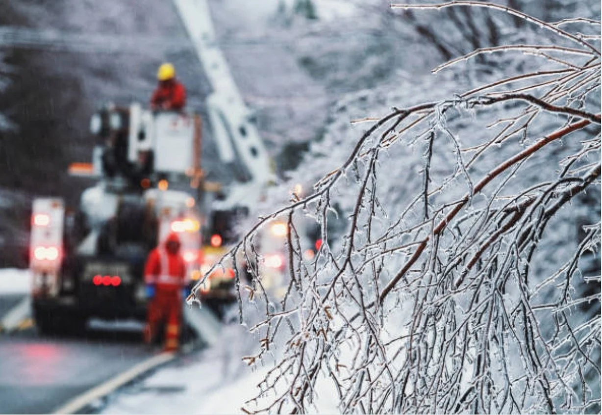 What Winter Storms Mean for Your Trees (And How to Prepare)