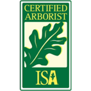 ISA